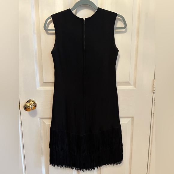 Vintage 1920s Fringe Dress - Picture 2 of 5